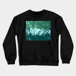 Mangrove Trees in Belize Crewneck Sweatshirt